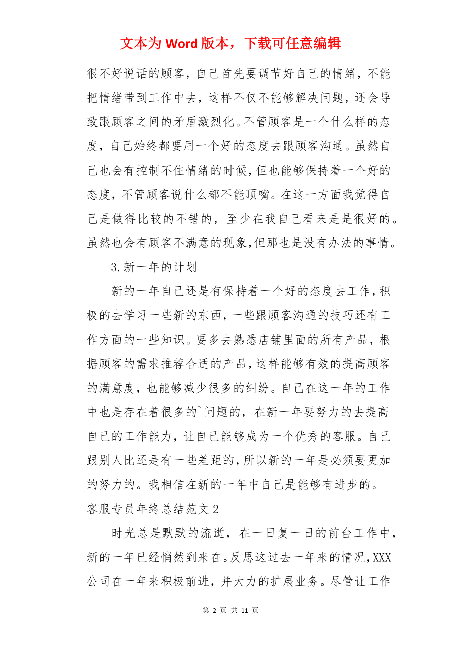 客服专员年终总结.docx_第2页