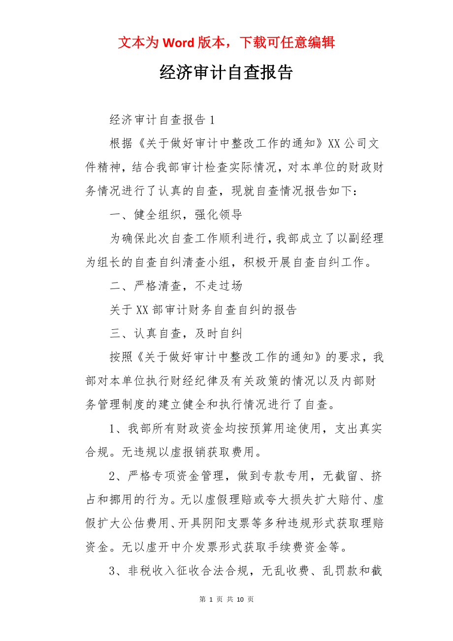 经济审计自查报告.docx_第1页