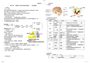 2022年第二章__动物和人体生命活动的调节__知识梳理 .pdf