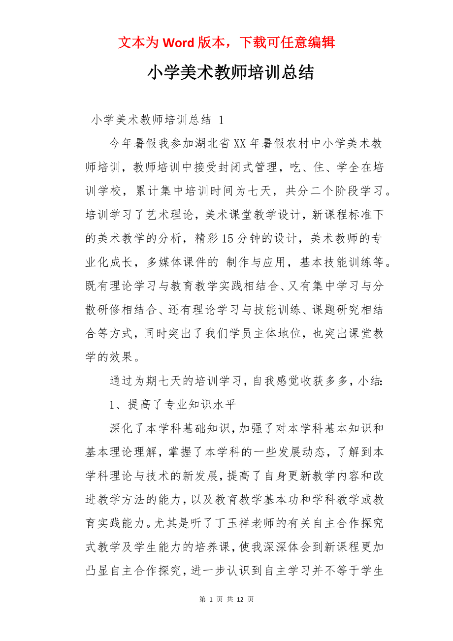 小学美术教师培训总结.docx_第1页