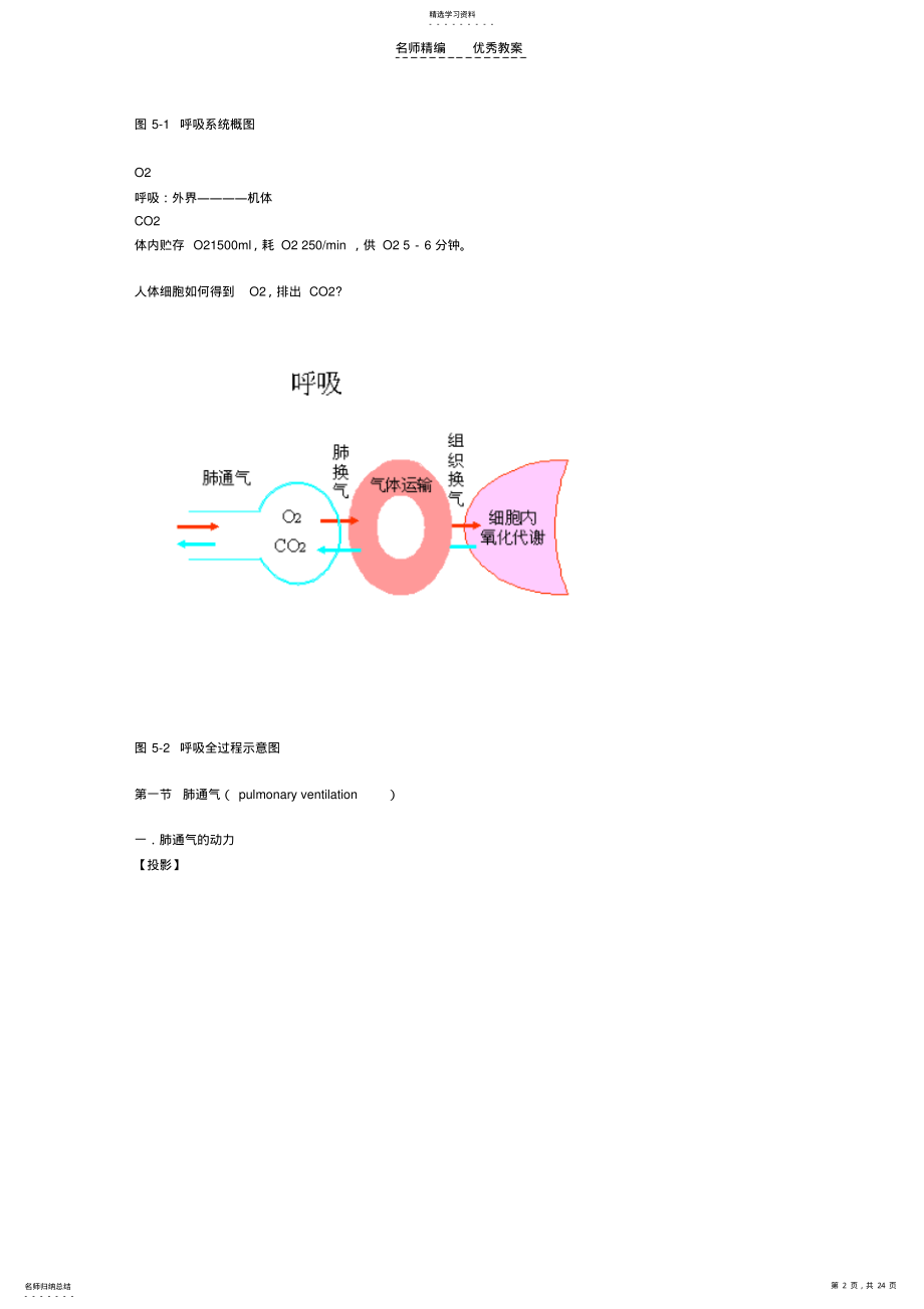 2022年精品课程生理学教案 .pdf_第2页