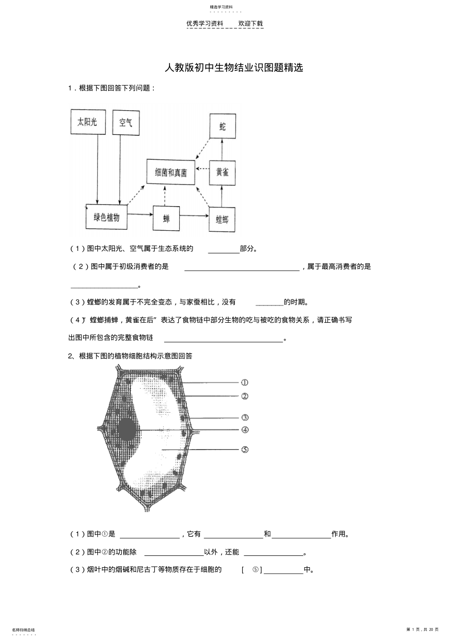 2022年人教版初中生物识图专题 .pdf_第1页