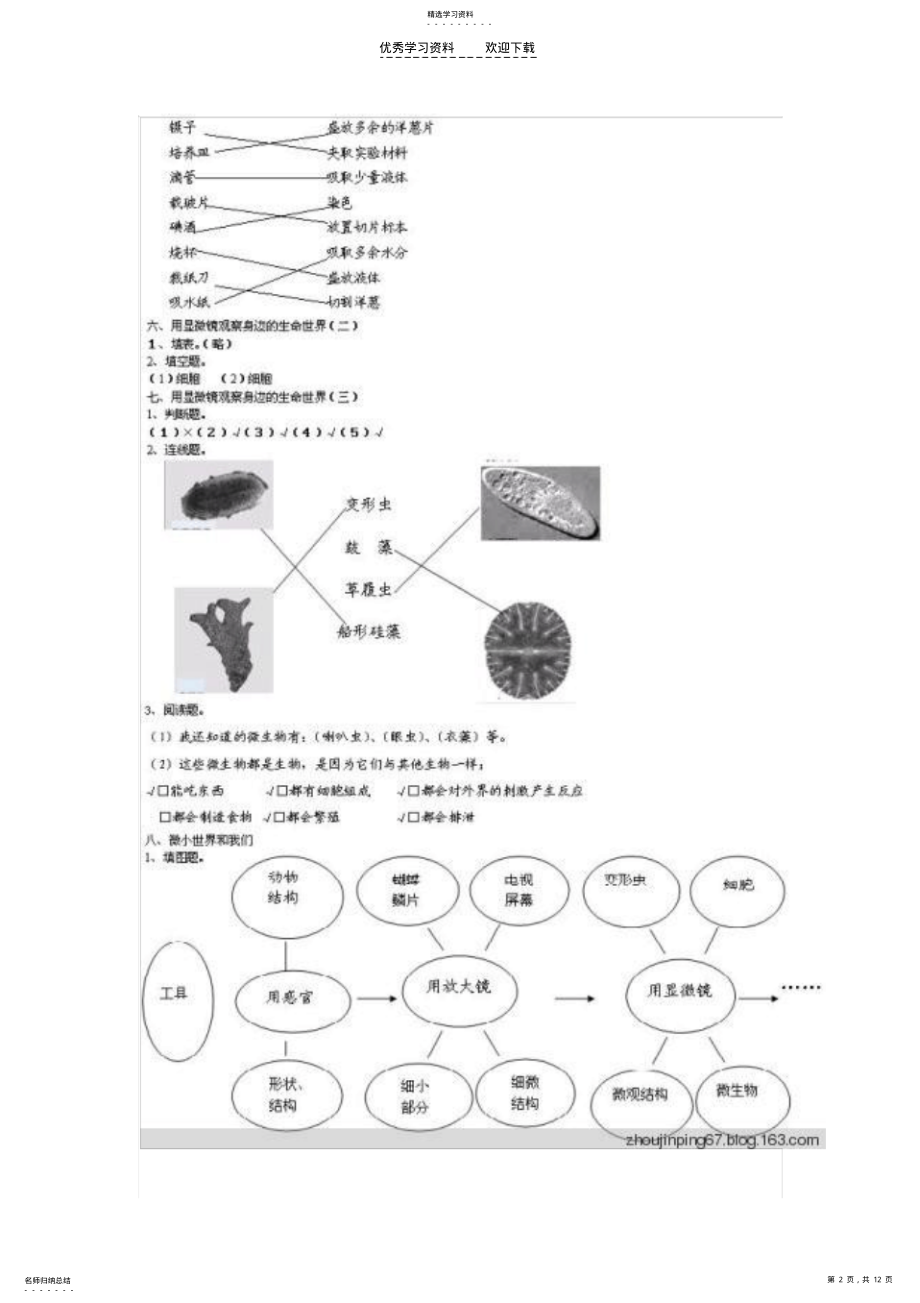 2022年六下科学课堂作业本答案 .pdf_第2页