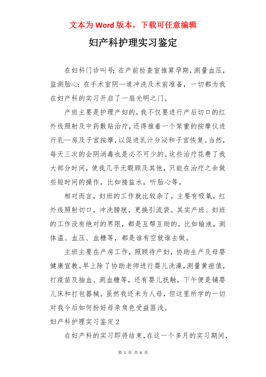 妇产科护理实习鉴定.docx_第1页