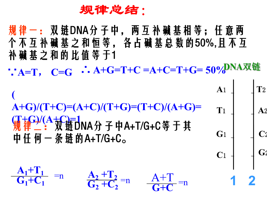 碱基互补配对的计算专题ppt课件.ppt_第2页