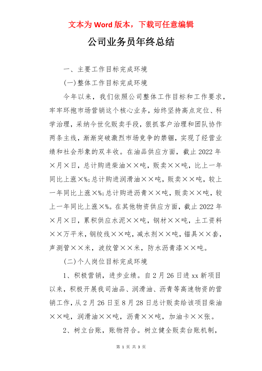 公司业务员年终总结.docx_第1页