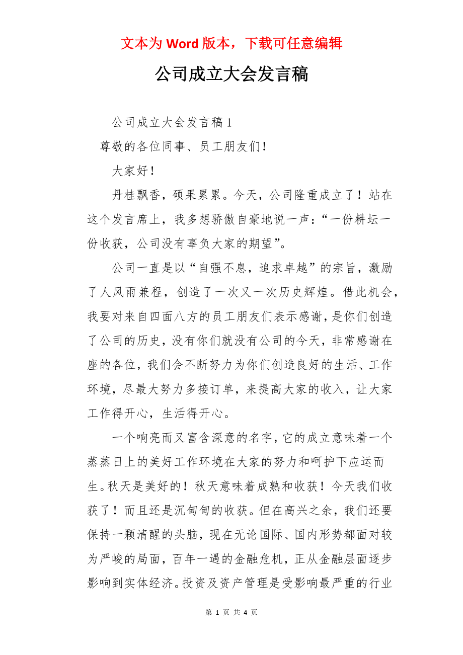 公司成立大会发言稿.docx_第1页