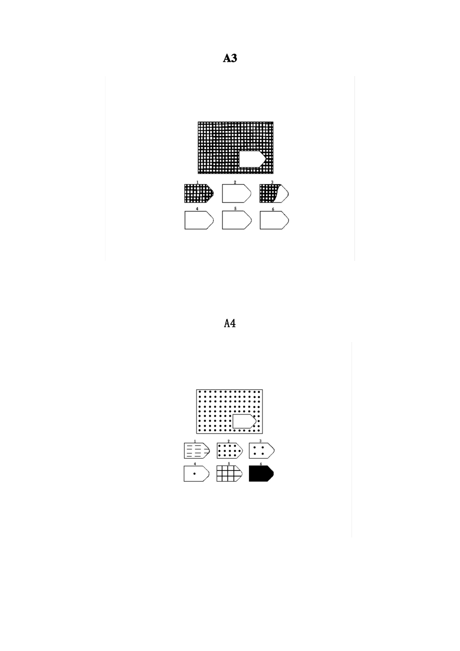 瑞文推理测验CRT(标准型).pdf_第2页