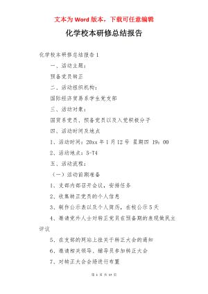 化学校本研修总结报告.docx