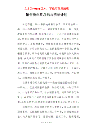 销售员年终总结与明年计划.docx