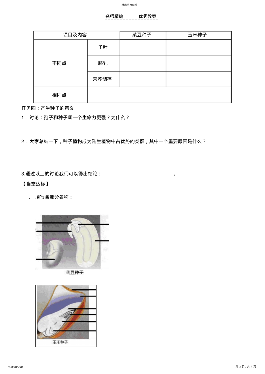 2022年种子植物导学案 .pdf_第2页