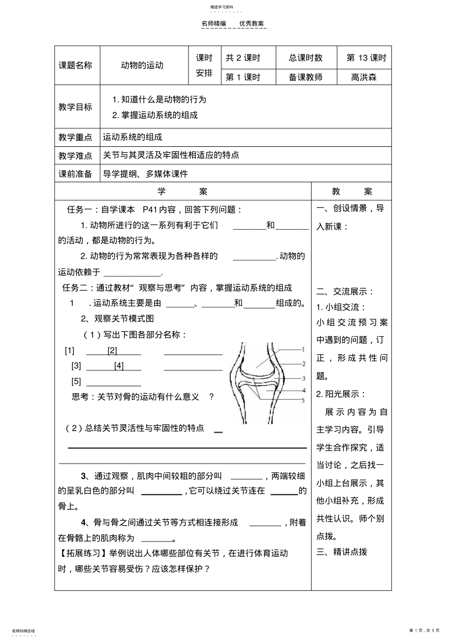 2022年第二章动物的运动教案 .pdf_第1页