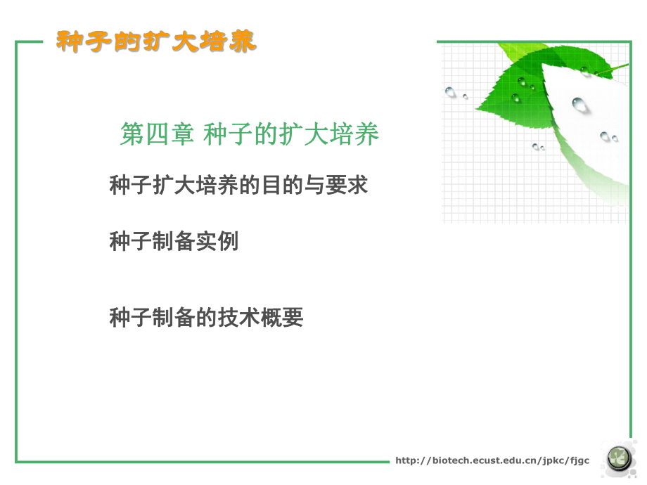 《种子的扩大培养》PPT课件.ppt_第2页