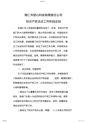 2022年公司知识产权试点工作总结 .pdf