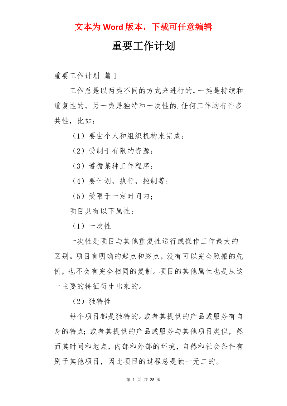 重要工作计划.docx_第1页