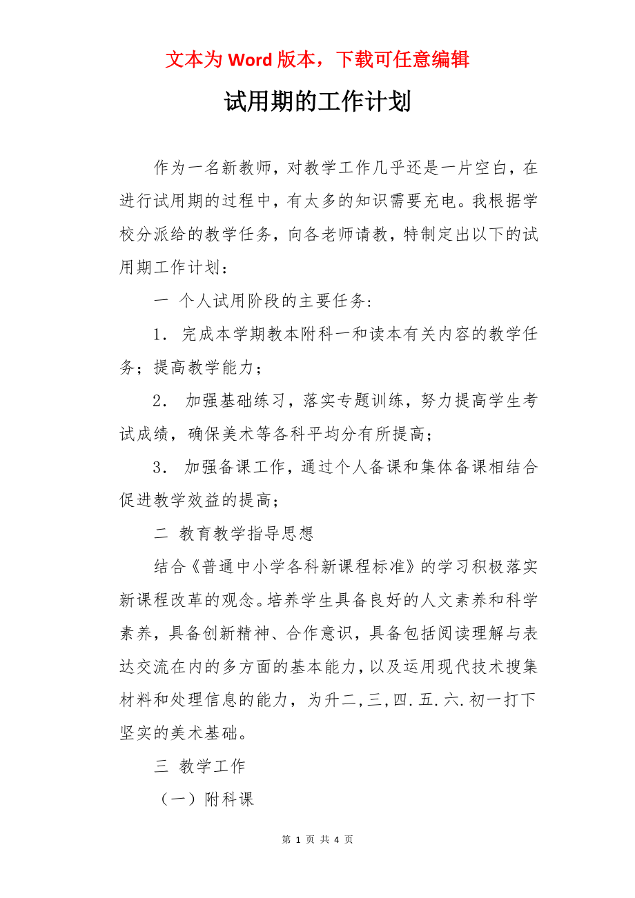 试用期的工作计划.docx_第1页