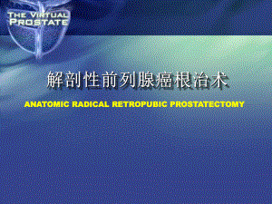 解剖性前列腺癌根治术(谢立平)ppt课件.ppt