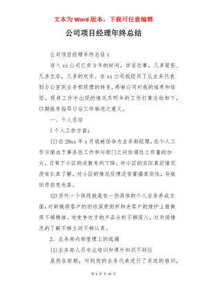 公司项目经理年终总结.docx