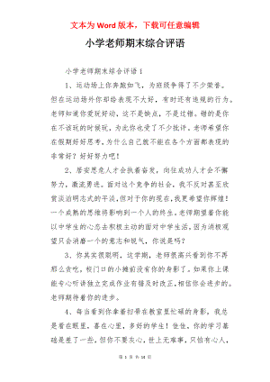 小学老师期末综合评语.docx