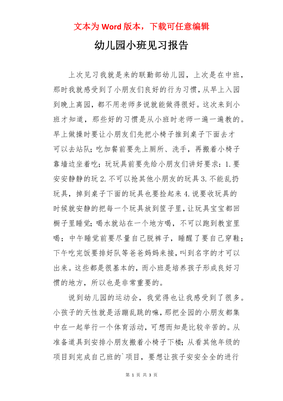 幼儿园小班见习报告.docx_第1页