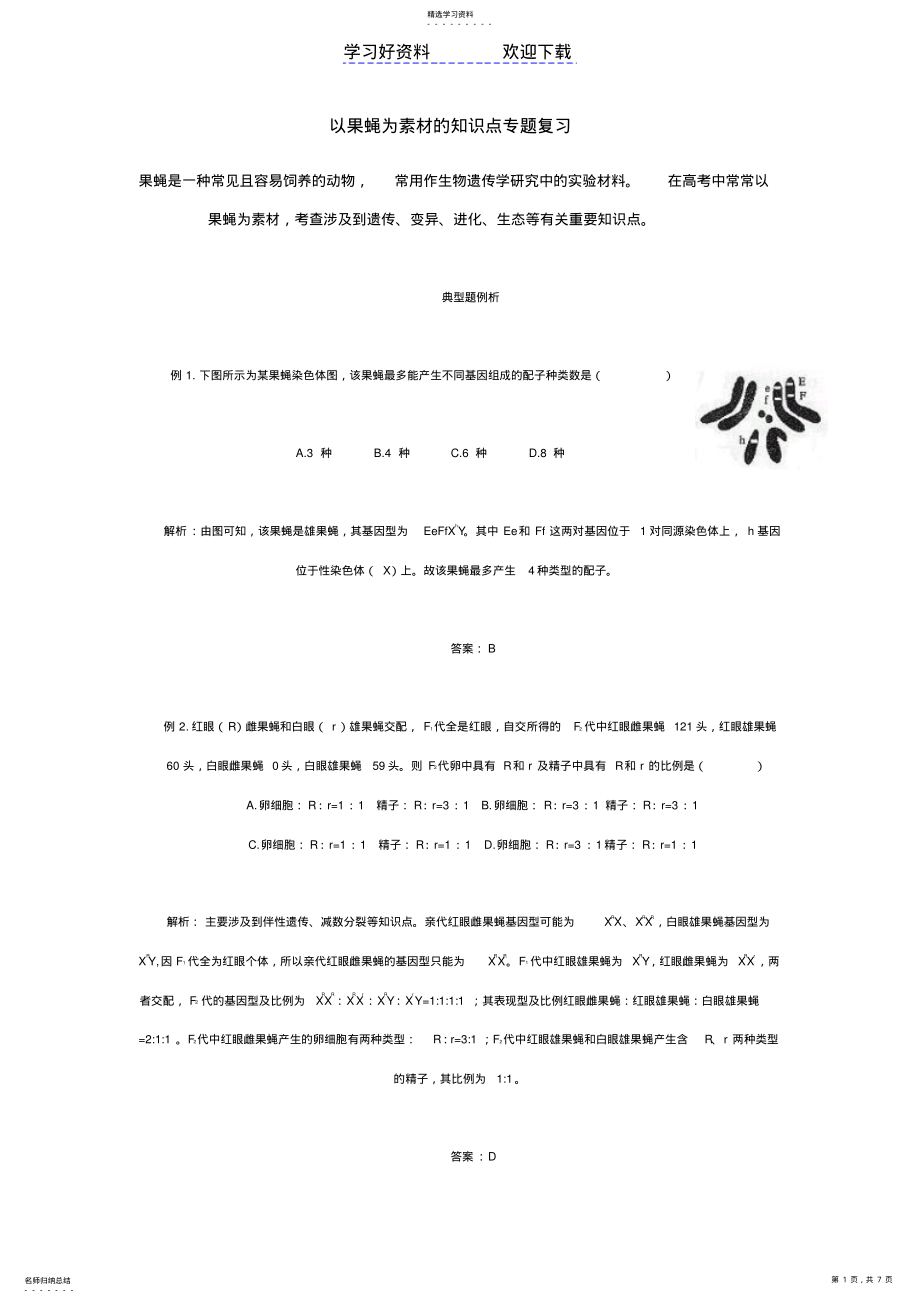 2022年以果蝇为素材的知识点专题复习 .pdf_第1页