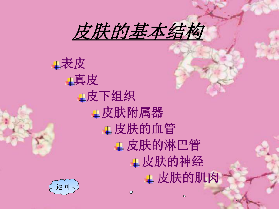 认识皮肤类型解剖皮肤细胞ppt课件.ppt_第2页