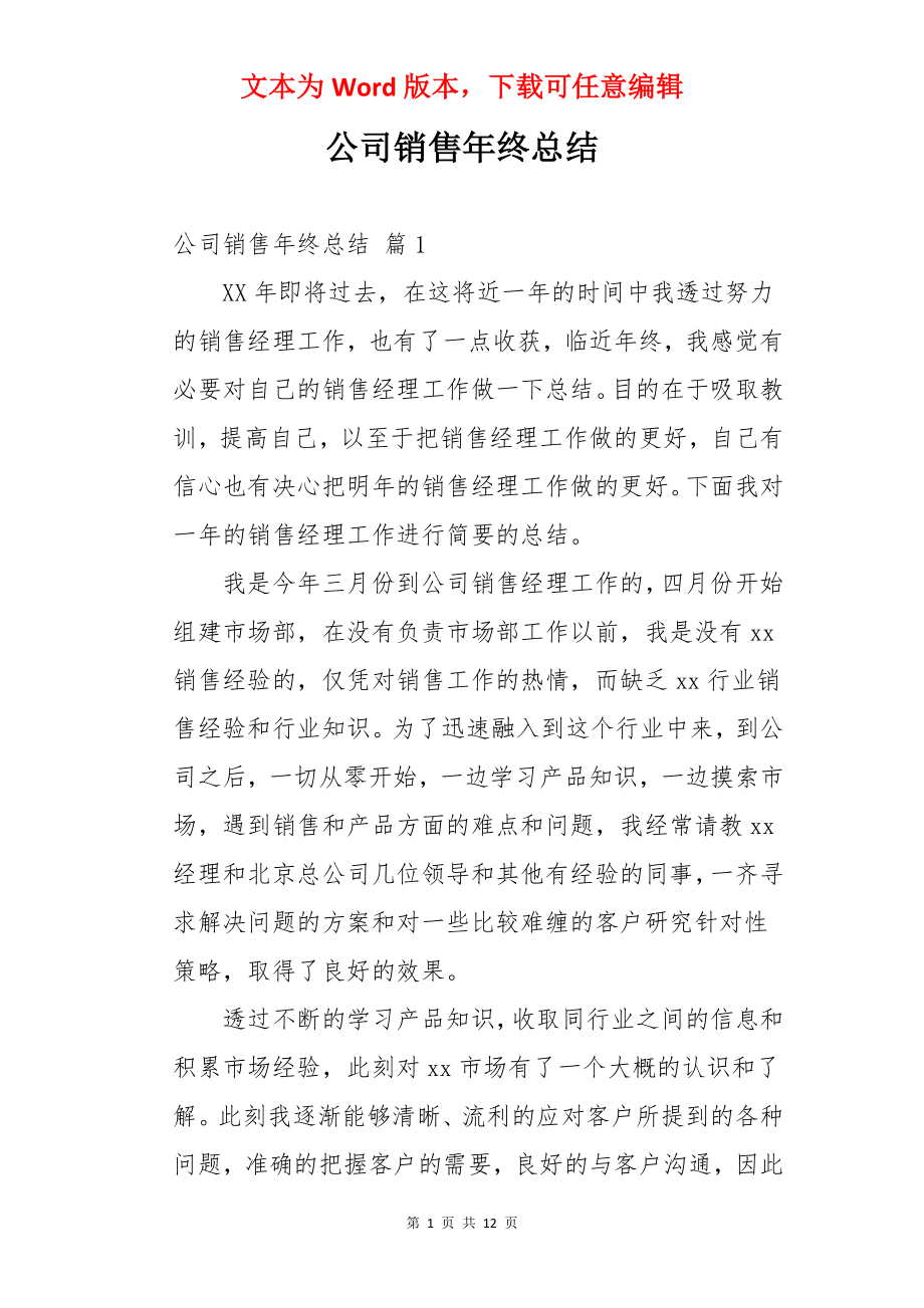 公司销售年终总结_1.docx_第1页