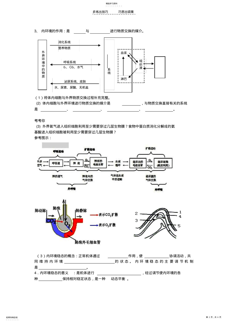 2022年第一章人体内环境和稳态学案 .pdf_第2页