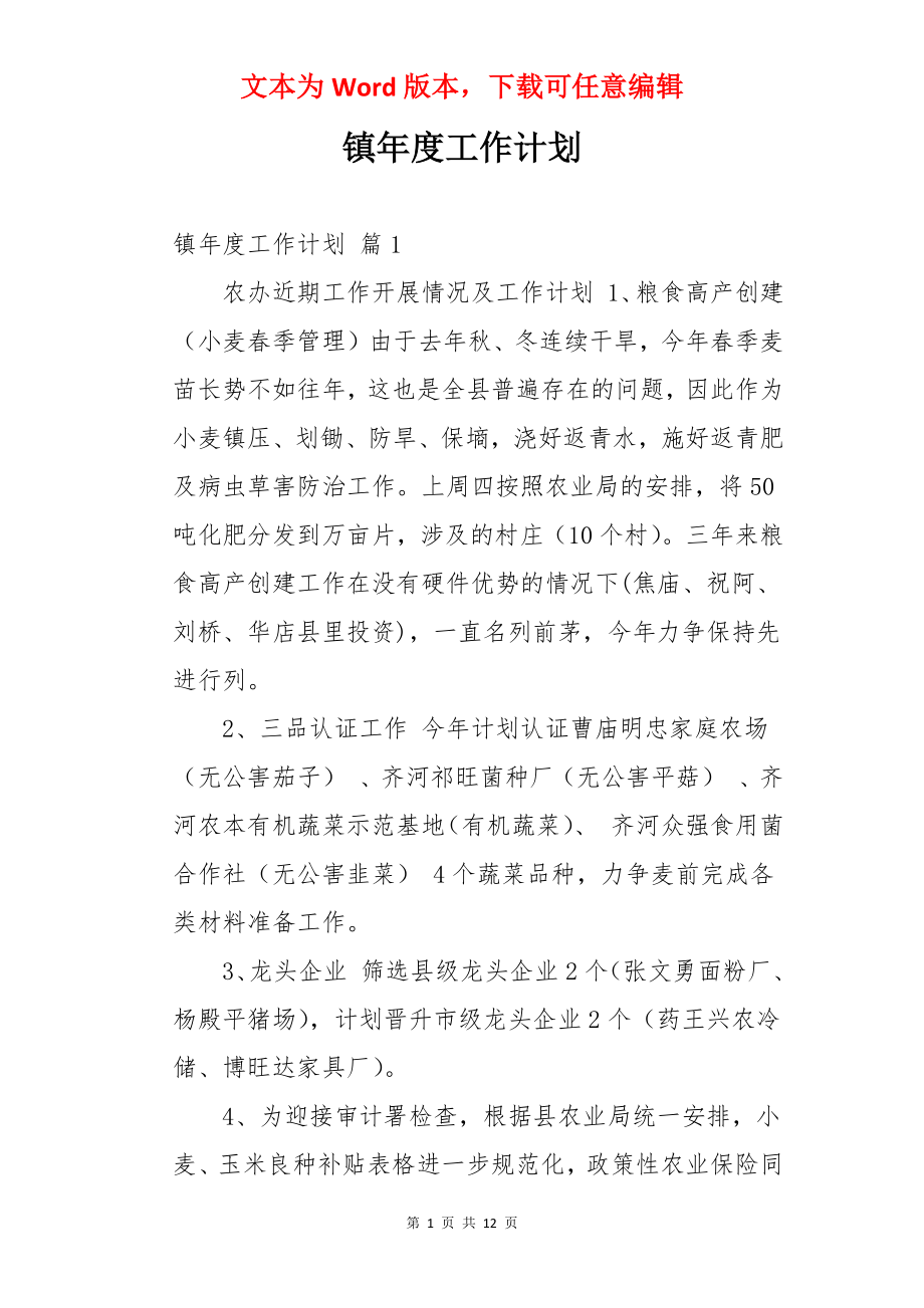 镇年度工作计划.docx_第1页