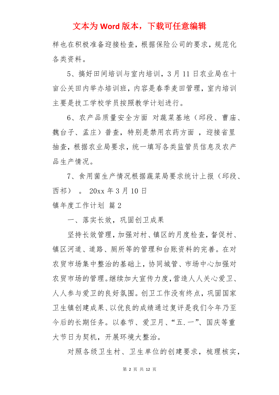 镇年度工作计划.docx_第2页