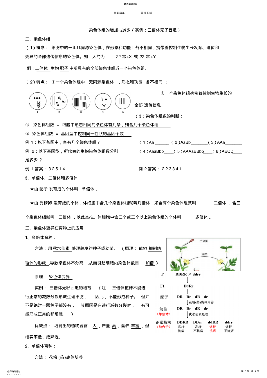 2022年第五章基因突变及其他变异 .pdf_第2页