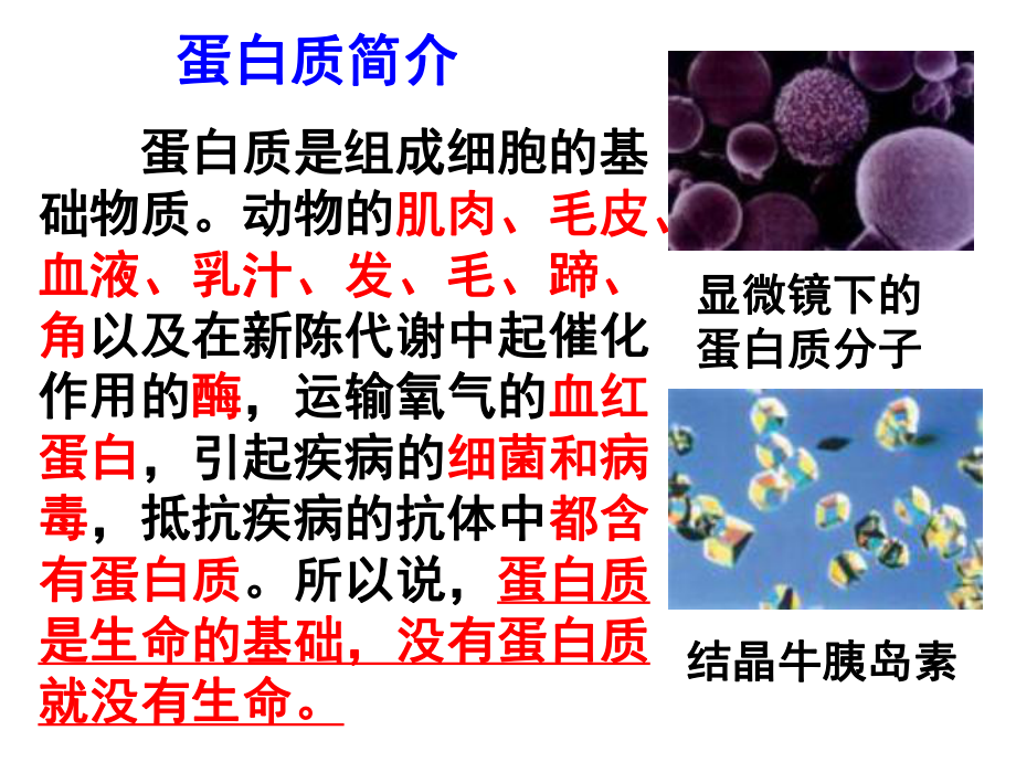 高中化学苏教版必修2蛋白质和氨基酸ppt课件.ppt_第2页