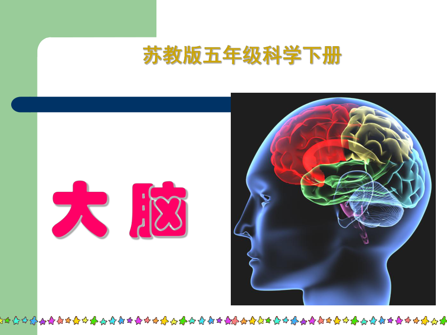 苏教版五年级下册科学《大脑》ppt课件.ppt_第2页