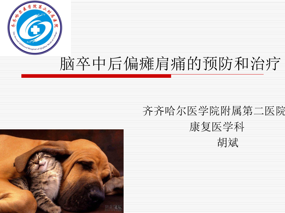 脑卒中后偏瘫肩痛的预防和治疗胡斌ppt课件.ppt_第1页