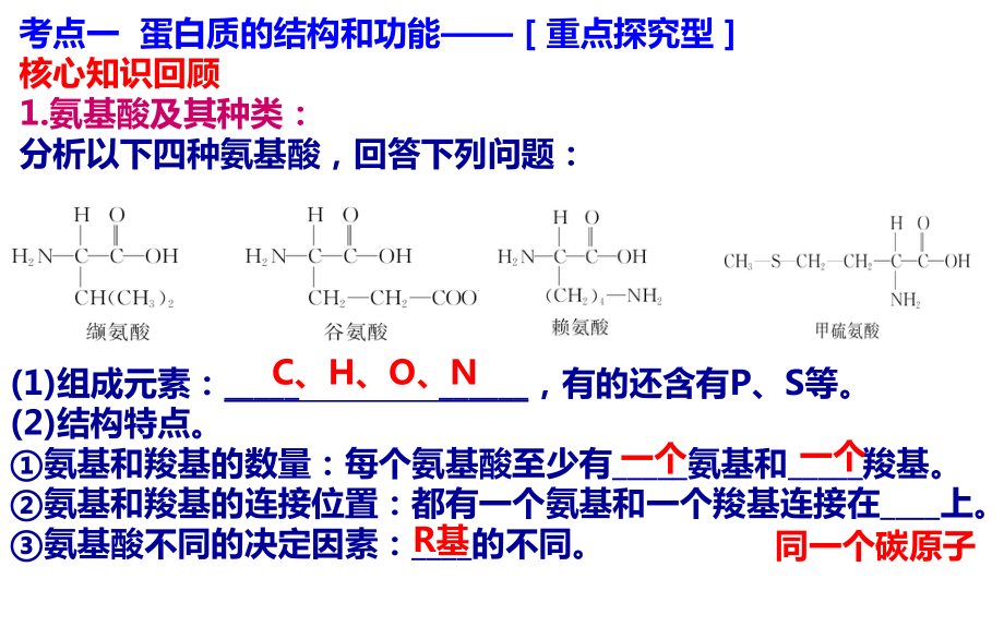 高三生物一轮复习蛋白质ppt课件.ppt_第1页