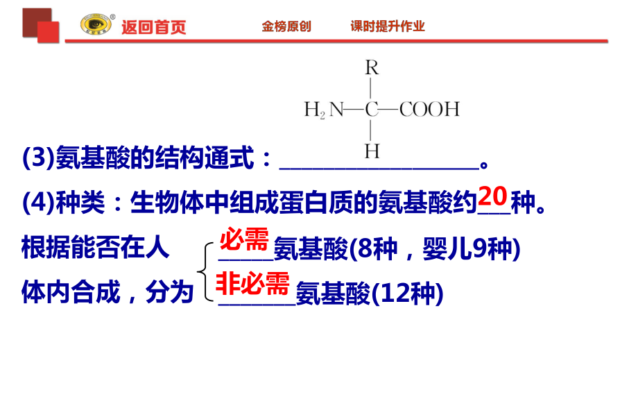 高三生物一轮复习蛋白质ppt课件.ppt_第2页