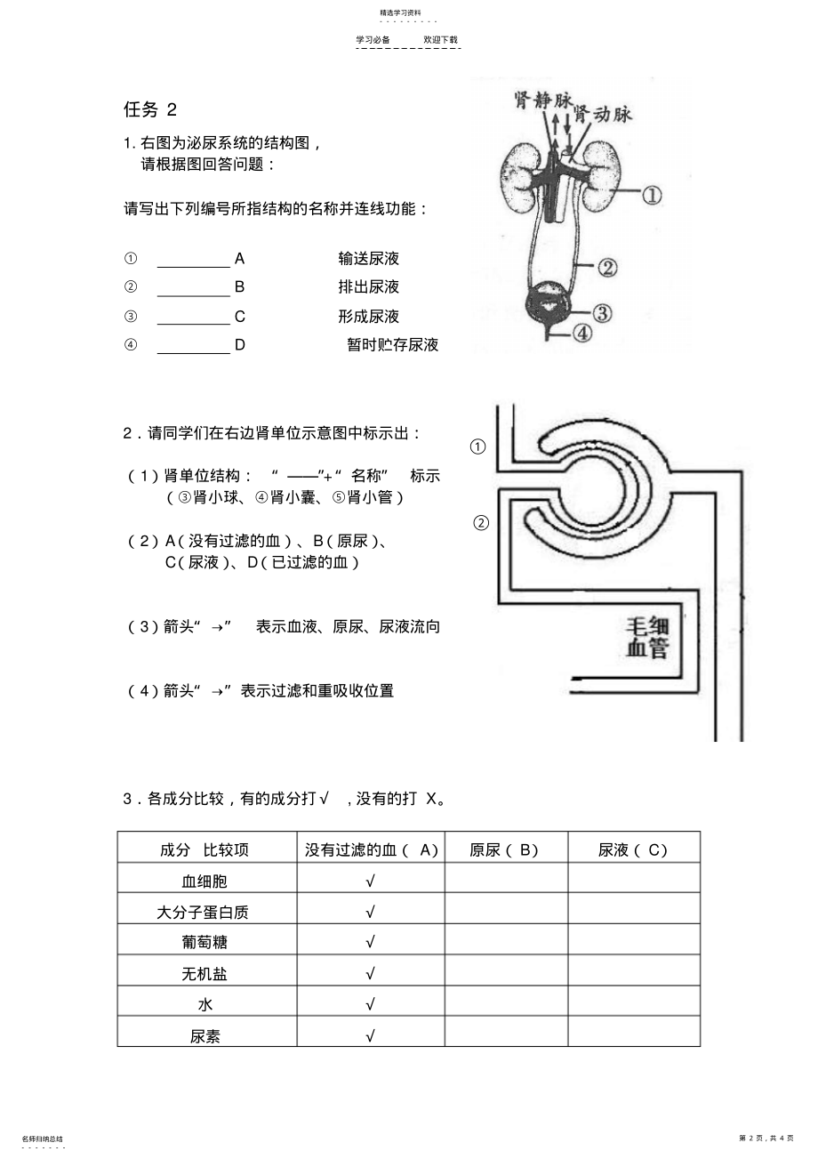 2022年第五章-人体内废物的排出导学案 .pdf_第2页