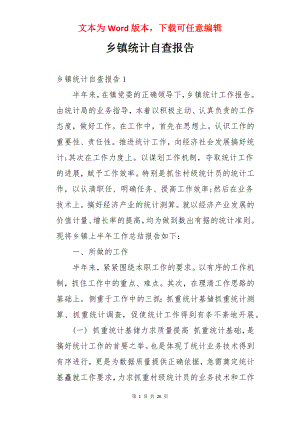 乡镇统计自查报告.docx