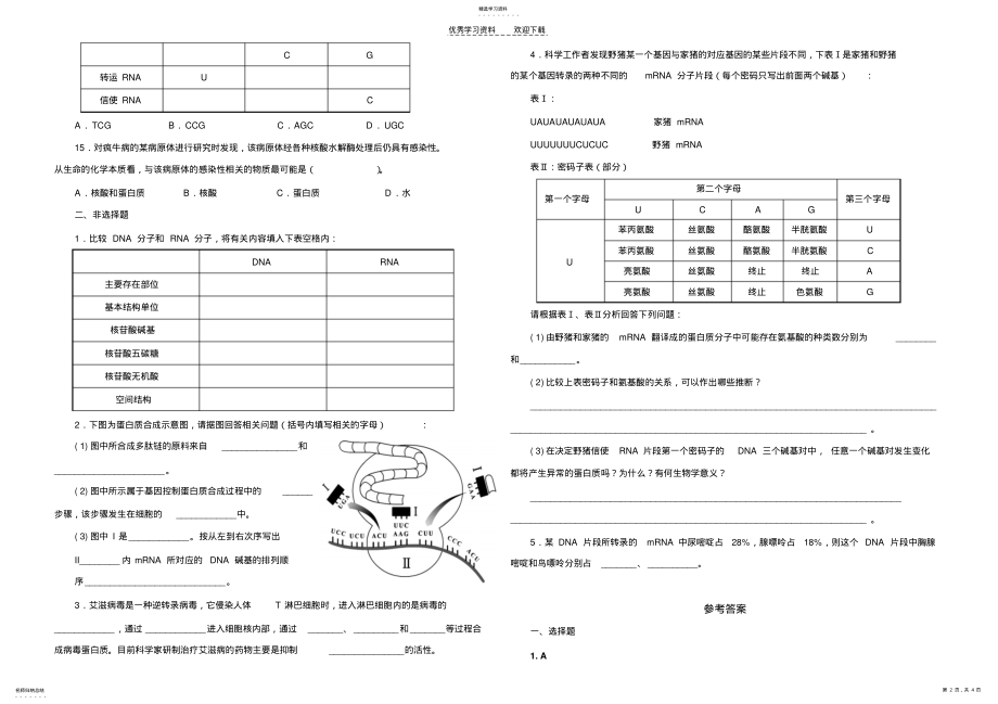 2022年人教版试题试卷第四章基因的表达测试题及答案 .pdf_第2页