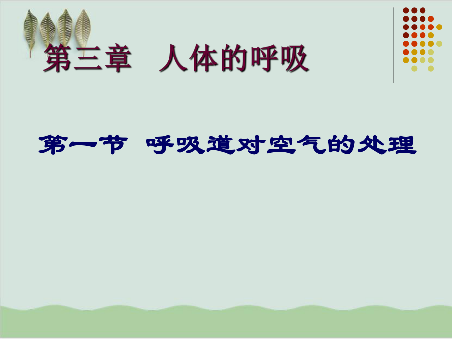 呼吸道对空气的处理PPT课件20人教版.ppt_第1页