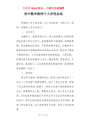 初中数学教师个人评优总结.docx