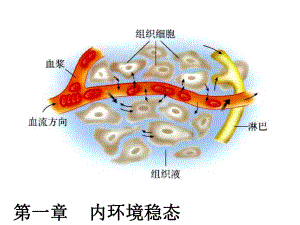 高中生物必修三知识点复习ppt课件.ppt