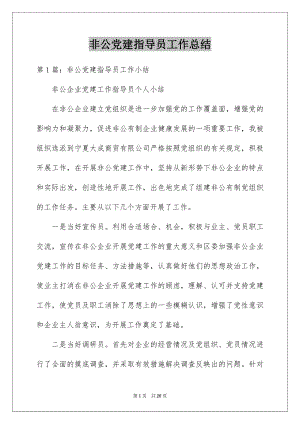 非公党建指导员工作总结.docx