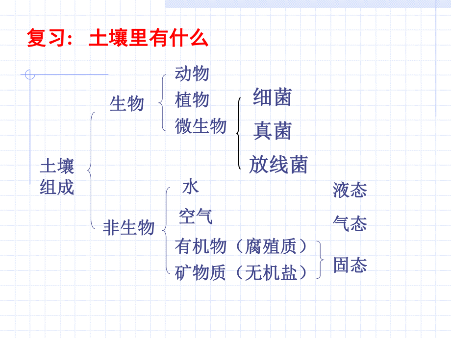 各种各样的土壤ppt课件.ppt_第2页