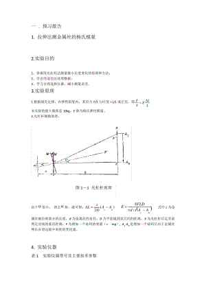 大学物理实验示范报告(以杨氏模量实验为例).pdf