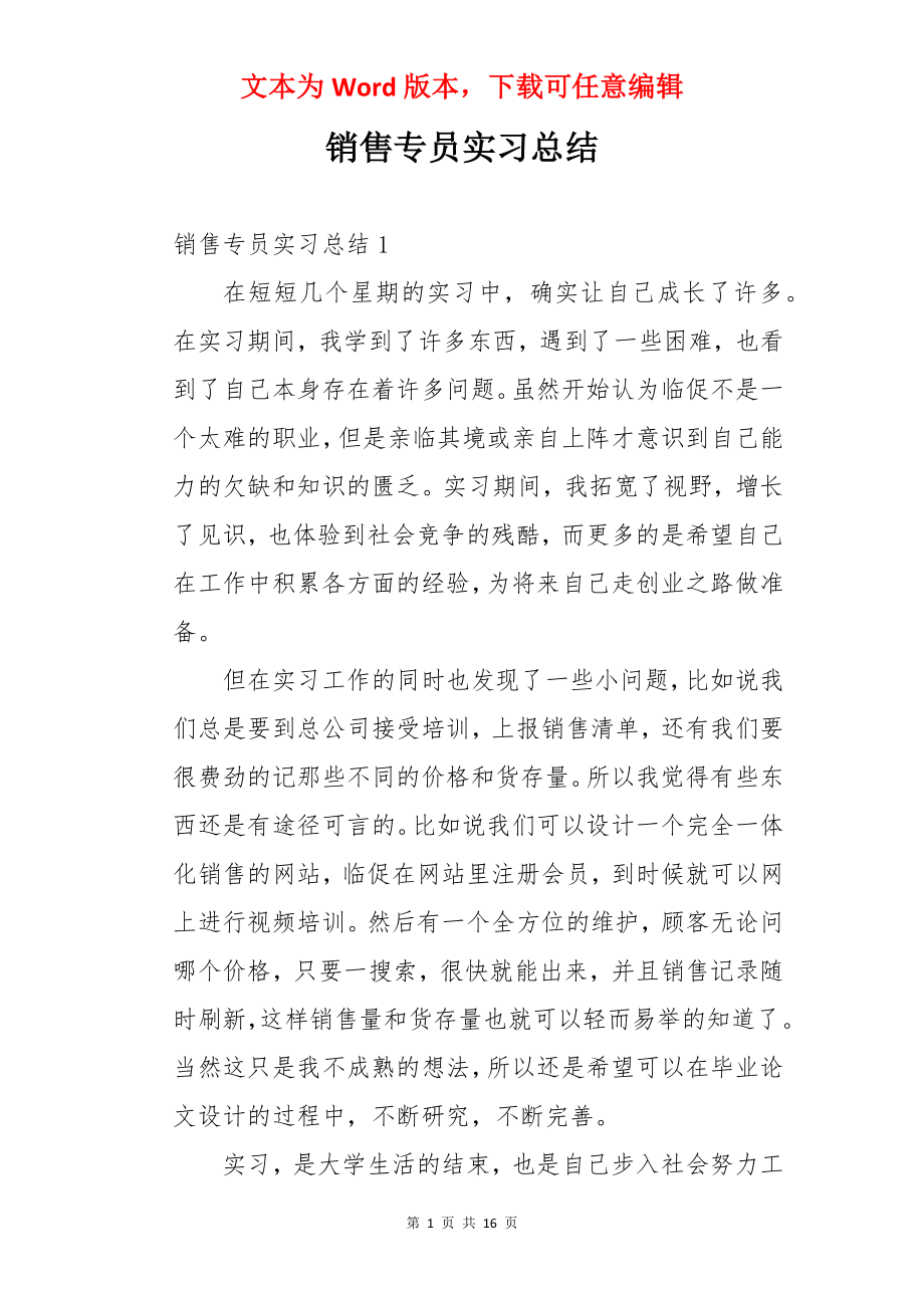 销售专员实习总结.docx_第1页