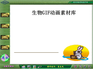 生物GIF动画素材库正式版ppt课件.ppt
