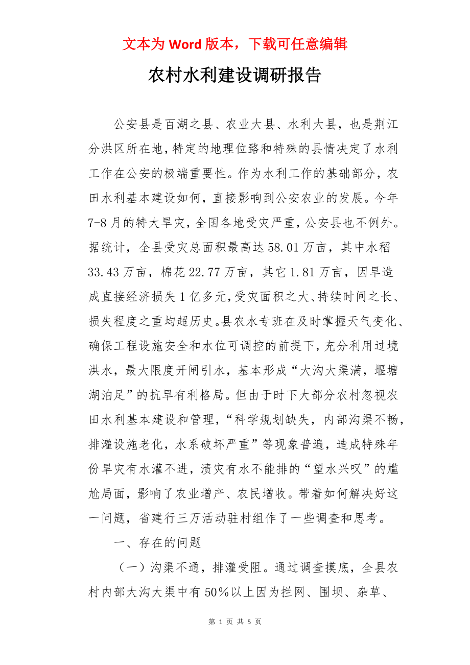 农村水利建设调研报告.docx_第1页