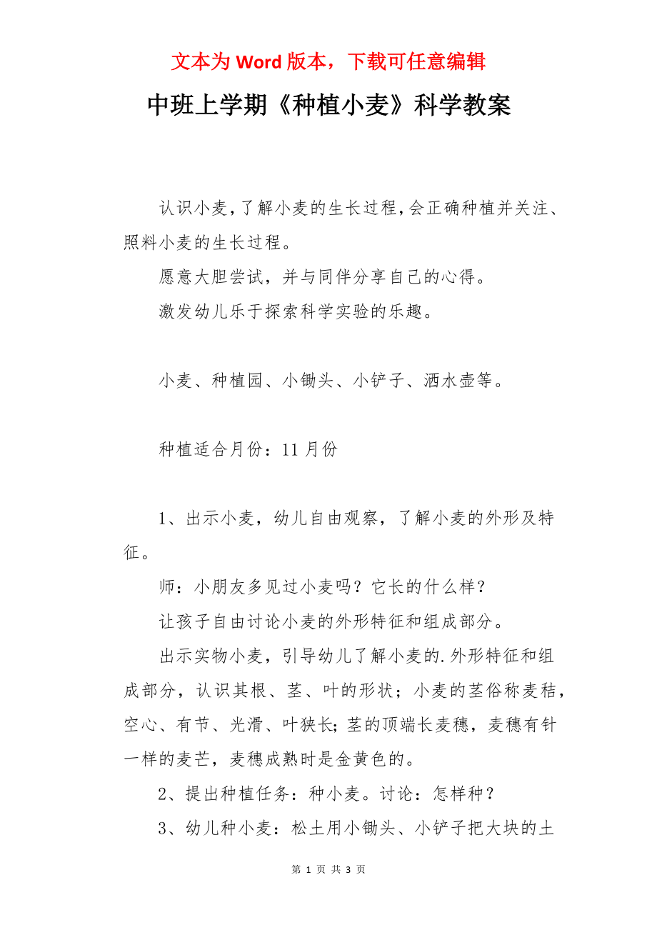 中班上学期《种植小麦》科学教案.docx_第1页