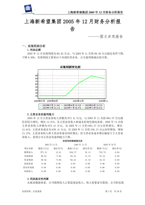 经典财务分析案例表格分析 上海新希望集团2005年12月财务分析报告(图文并茂报告).doc